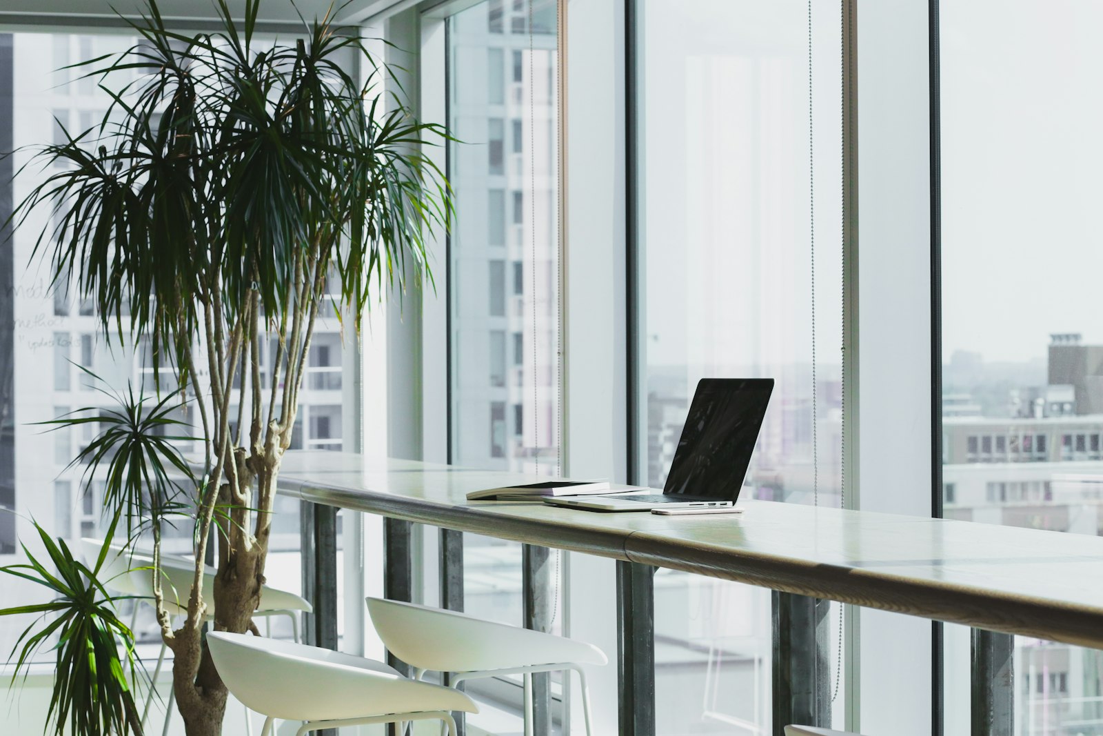Laptop on a long counter in a bright office with plants
